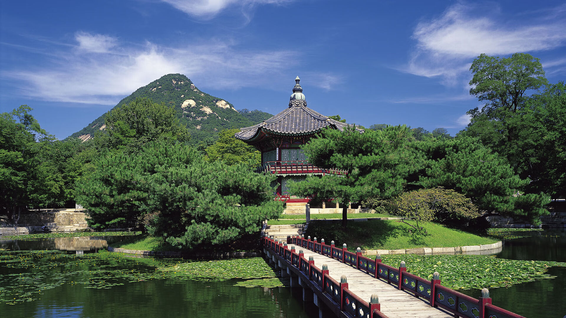 世界体操团体赛赛场医疗响应体系全国复制首批名单公布,世界体操锦标赛2021